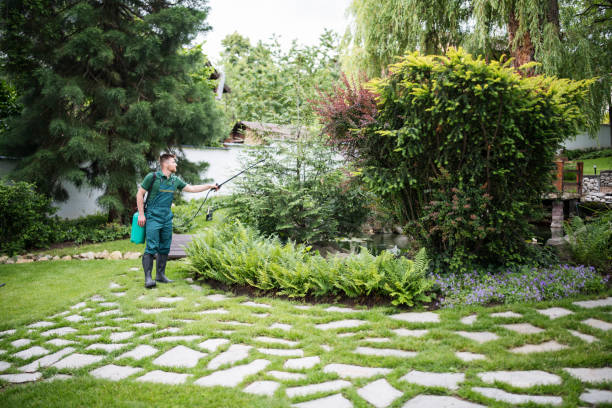 Best Pest Removal Services  in Pato, WA