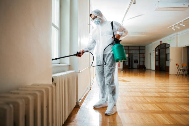 Best Rat Extermination Near Me  in Pato, WA